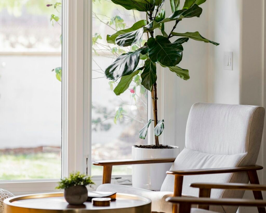 Bright, uncluttered living room with natural light and a potted plant